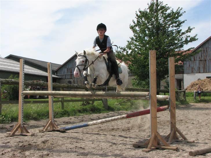 Welsh Pony (sec B) Korreborg's Oline ¤SOLGT¤ - Jubii!! der er sping! billede 3