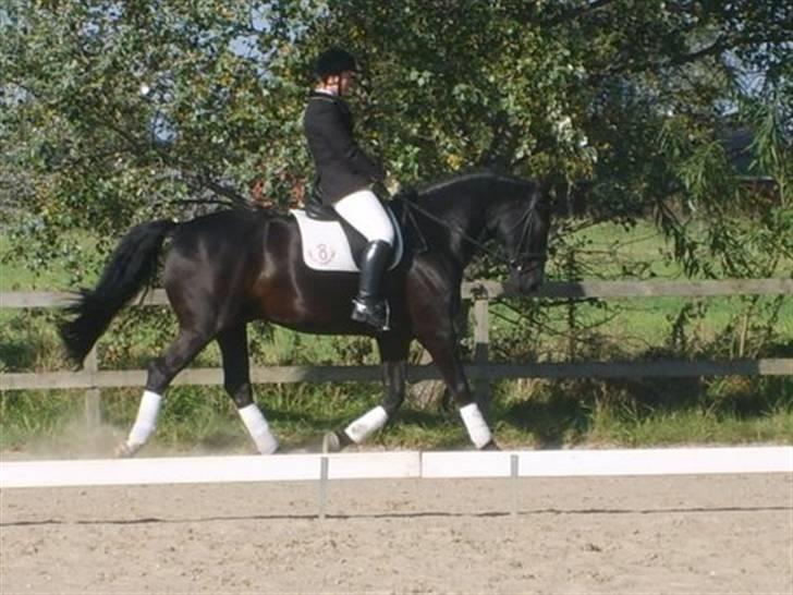 Oldenborg Møllevang´s Pax billede 8