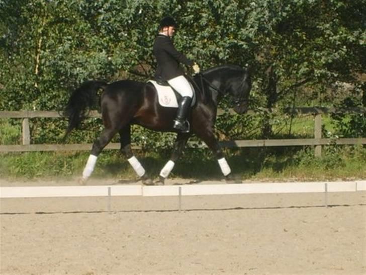 Oldenborg Møllevang´s Pax billede 9