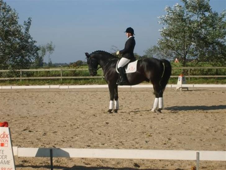 Oldenborg Møllevang´s Pax billede 10