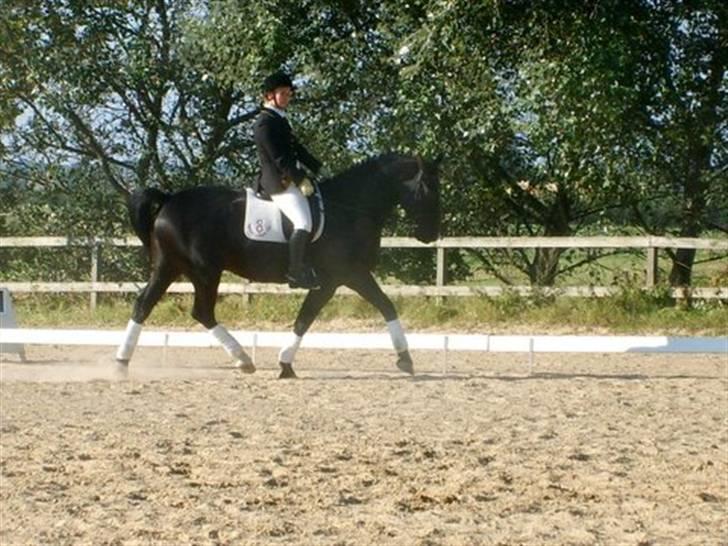 Oldenborg Møllevang´s Pax billede 11