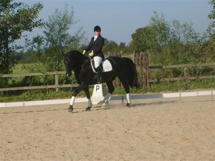 Oldenborg Møllevang´s Pax billede 12