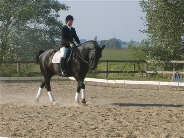 Oldenborg Møllevang´s Pax billede 13