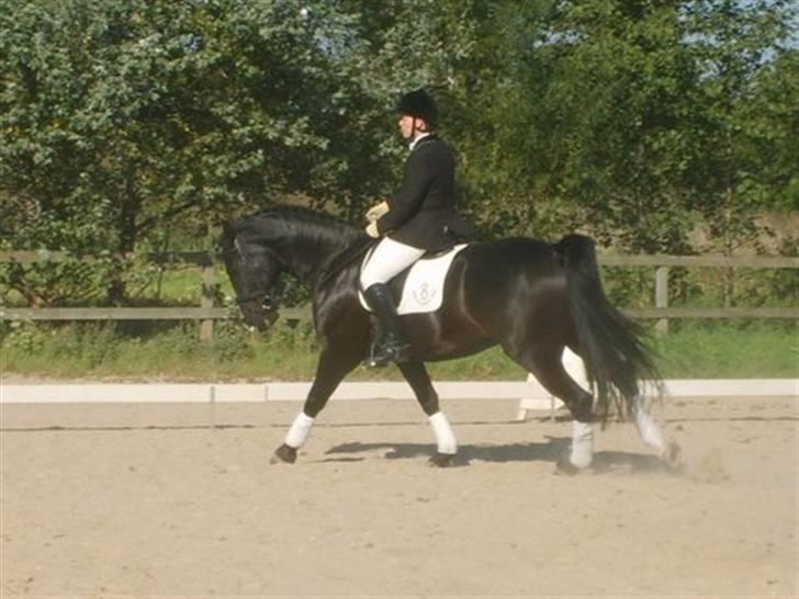 Oldenborg Møllevang´s Pax billede 15