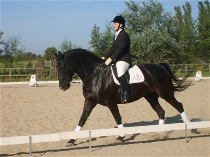 Oldenborg Møllevang´s Pax billede 16