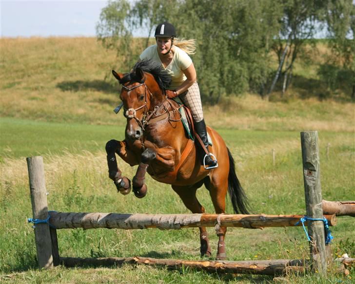 Anden særlig race Nightmare Macohl *RIP* - terræn træning i Langå 2008 billede 10