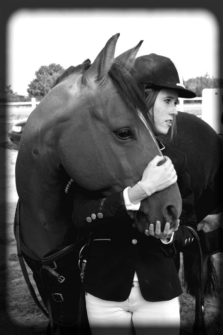 Anden særlig race Ravbjergs Tornado [SOLGT] - <3 :D Kig venligst ikke på mig xD  billede 9