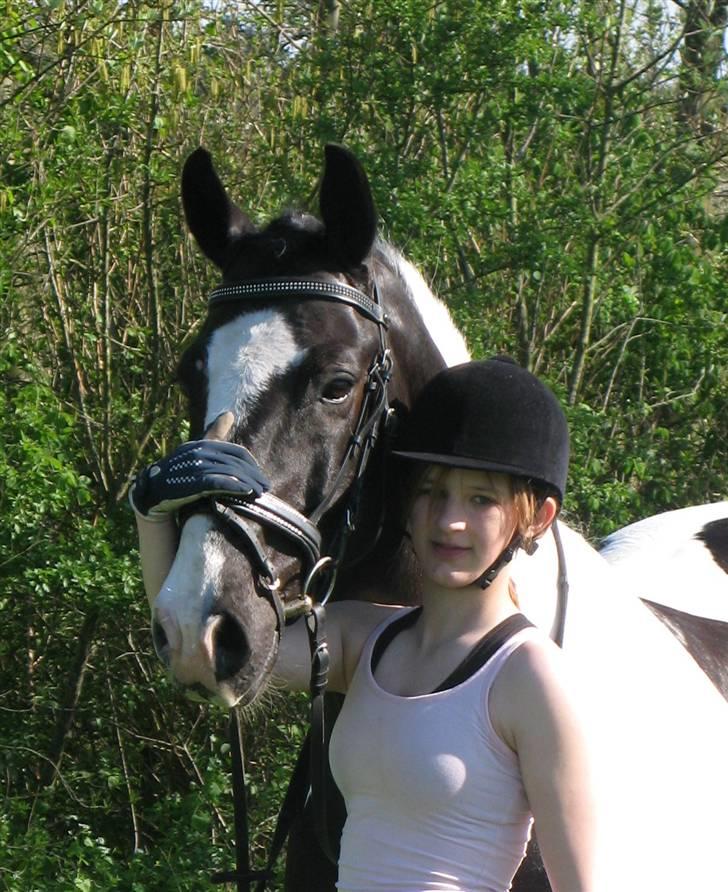 Pinto Tajhs <33 - heii alle sammen giv gerne en bedømmelse og en kommentar inden i går :=D billede 1