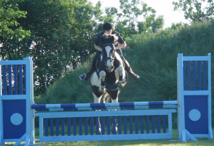 Pinto Tajhs <33 billede 8