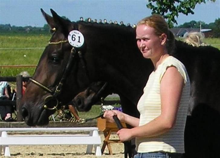 Dansk Varmblod intuition 'SOLGT - til skue på blue hors her er Ditte og hende igen billede 8