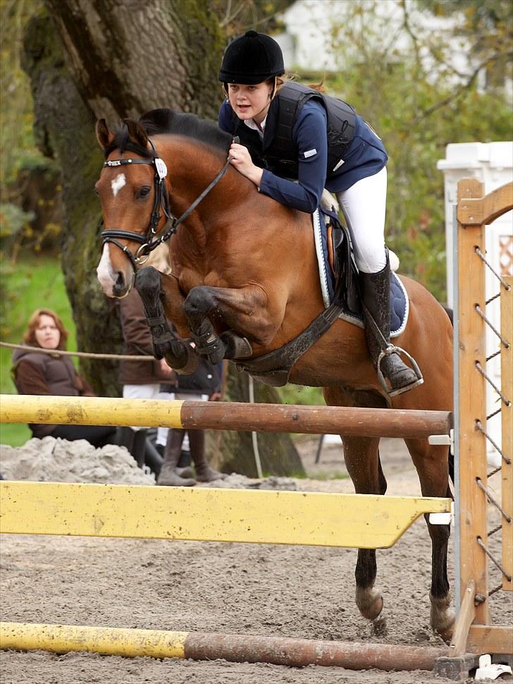 New Forest Rex <3 ( Solgt ) :'( - 6....Egene distrikt 16. maj 2010 - Lb2** Lækkert fjæs jeg fyrer af.... billede 6