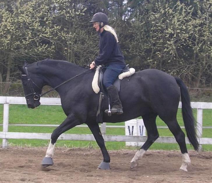 Dansk Varmblod Englunds Diana *DØD* - mig og Diana billede 12