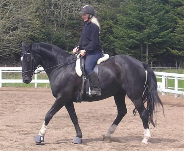 Dansk Varmblod Englunds Diana *DØD* - diana og jeg igen billede 13