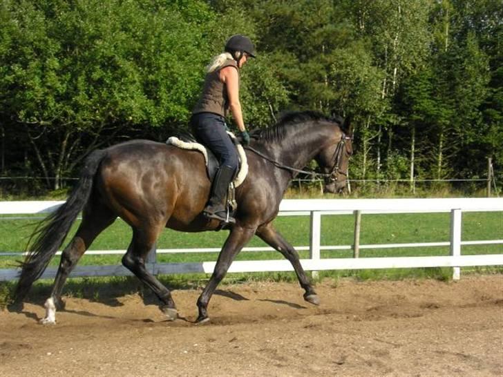 Dansk Varmblod Rob Roy, *DØD* - mig og robber billede 19