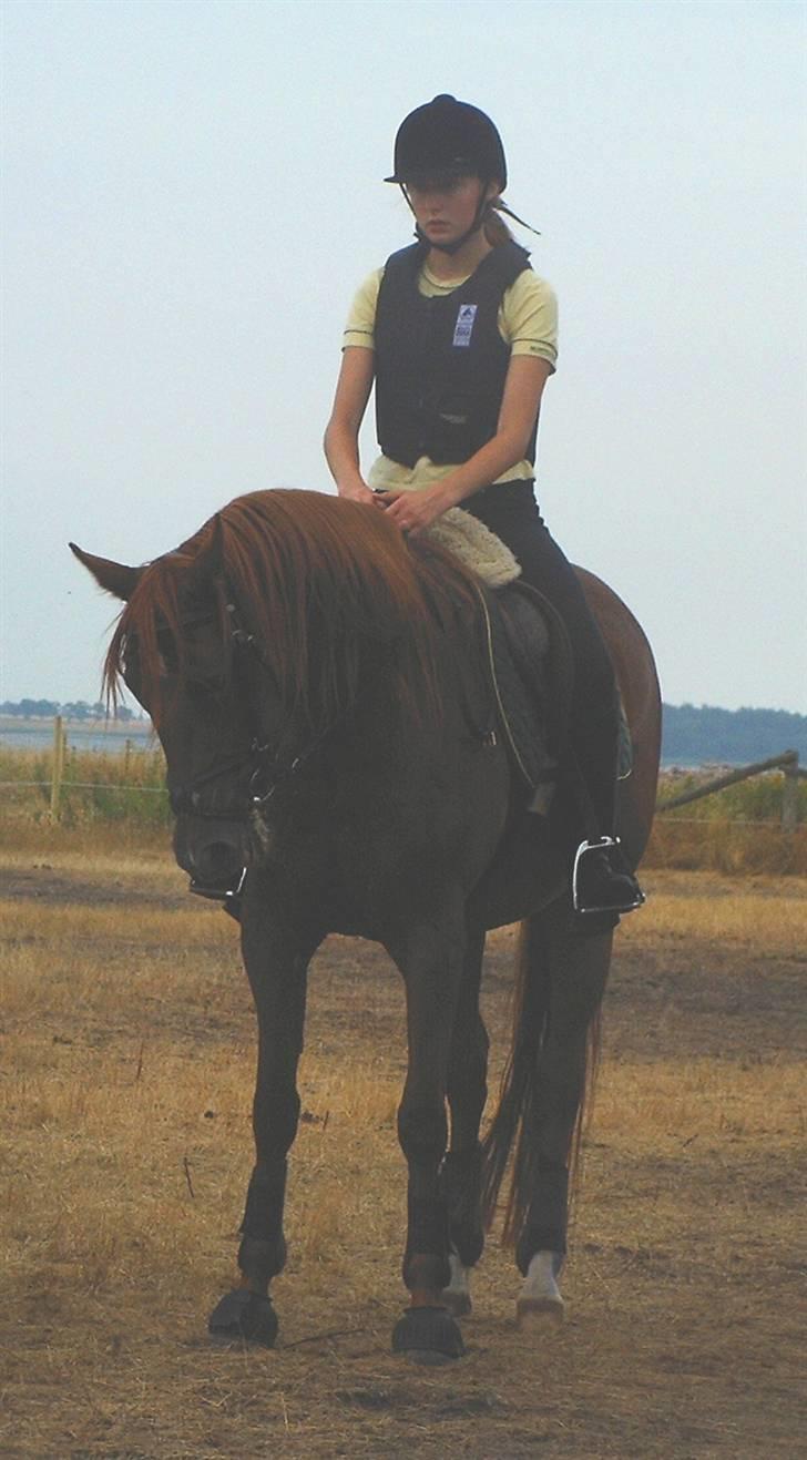 Traver Darling - Ridelejr 06 billede 7