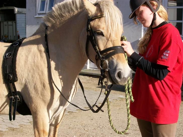 Fjordhest Lyrik Godthaab  - Krestine øver med Lyrik<3 sep 07 billede 16