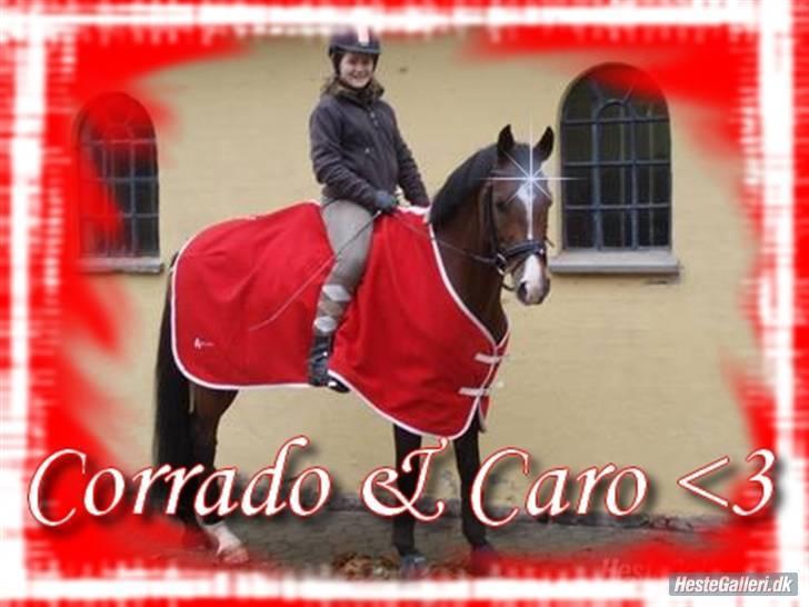 Tysk Sportspony Corrado S R.I.P :( - mig og corrado billede 3