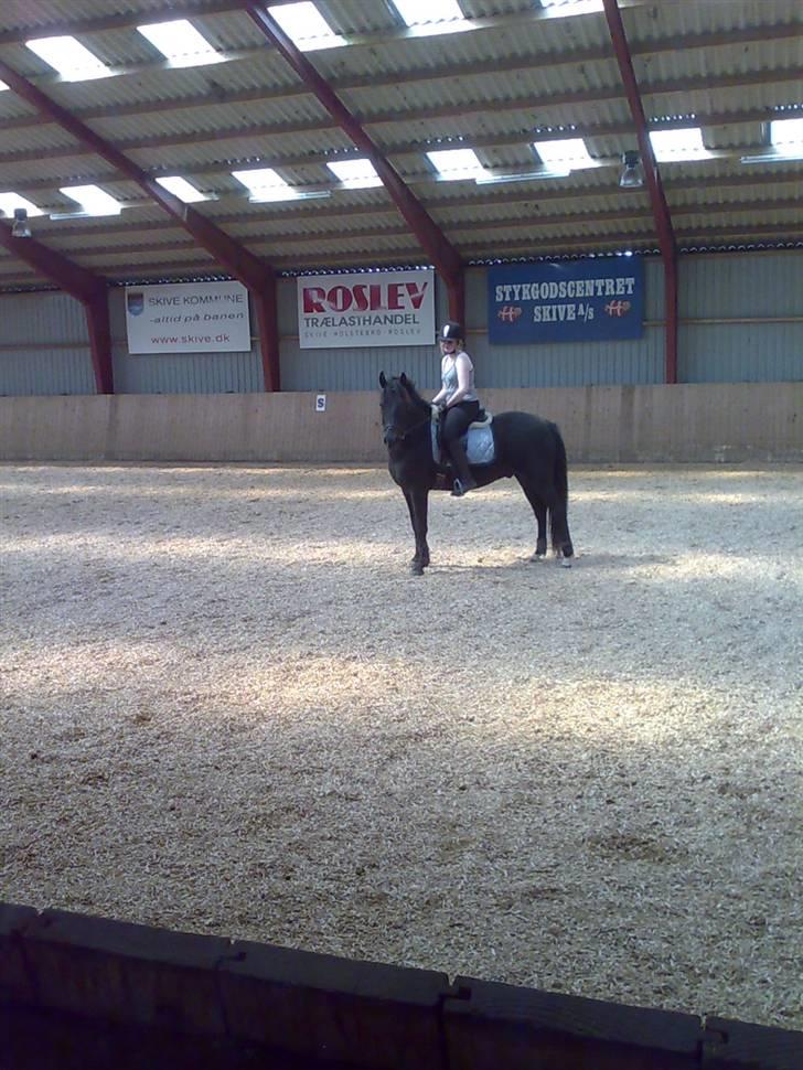 Anden særlig race Black Shadow - Solgt - august 2007 billede 9