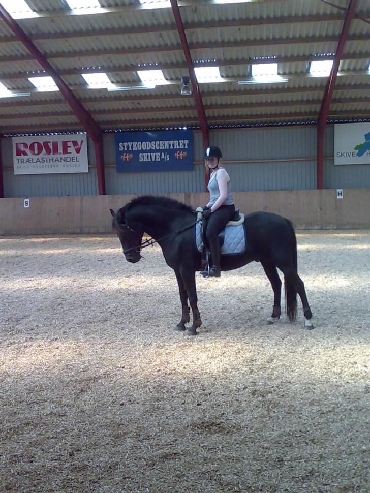 Anden særlig race Black Shadow - Solgt - så fint jeg kan stå!! august 2007 billede 10