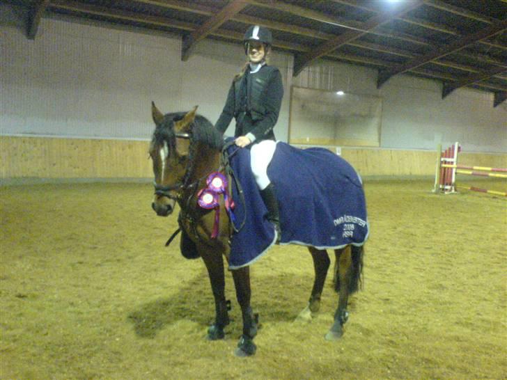 Anden særlig race Ravbjergs Tornado [SOLGT] - Da vi lige havde redet to fejlfrie runder - U-LB og U-LA til vores, desværre, sidste stævne d. 13 dec 2008.. Så stolt d; <3 han er min bette stjerne (; billede 14