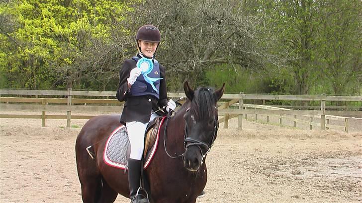 New Forest Olympic Concorde - smukke concorde billede 18