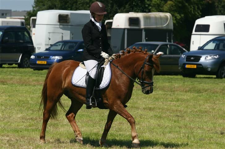 Anden særlig race Sukema - Solgt - 3 dags stævne i lisse. jeg var afsted to af dagene og vandt begge to. billede 16