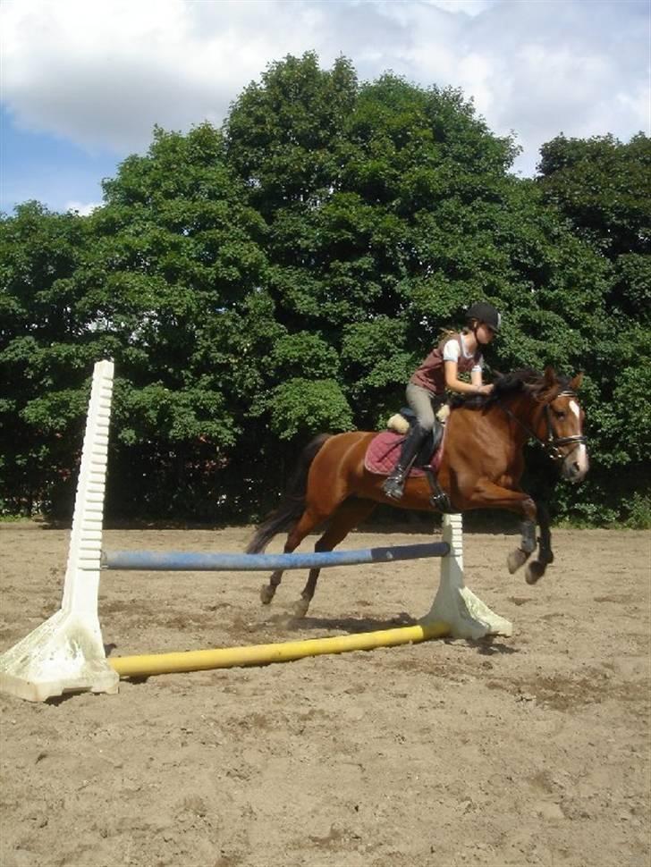 Anden særlig race Luna [SOLGT!] - Luna og mig billede 5