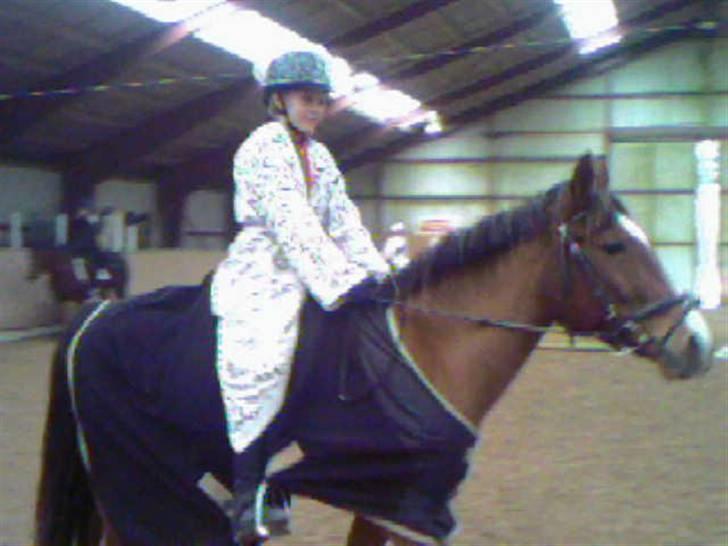 Anden særlig race Luna [SOLGT!] - Luna og min veninde Julie til fastelavnsstævn billede 7