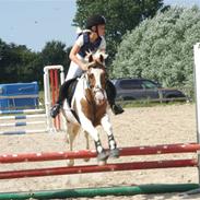 Anden særlig race My Lad (Solgt) :'(