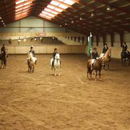 Anden særlig race Pinocchio - død :'(