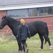 Oldenborg Katsja