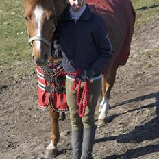 Anden særlig race // Holmens Molly -[SOLGT]