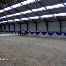 Fell pony Falco  (Gamle part)