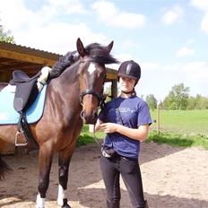 Anden særlig race Amazing Star