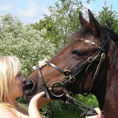 New Forest Beauty   *solgt*