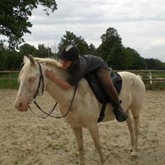 Anden særlig race Shadow *SOLGT*