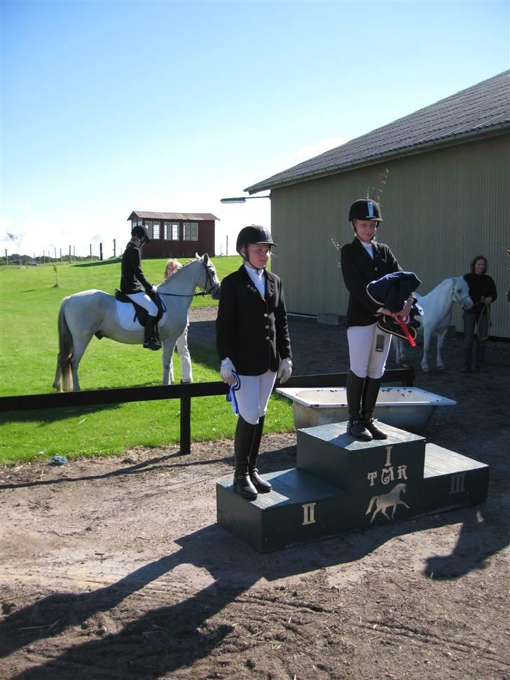 Welsh Mountain (sec A) møllegaards Flamme Solgt - deet er mig der i baggrunden og min rytter josefine for 1plads.. juhu billede 5