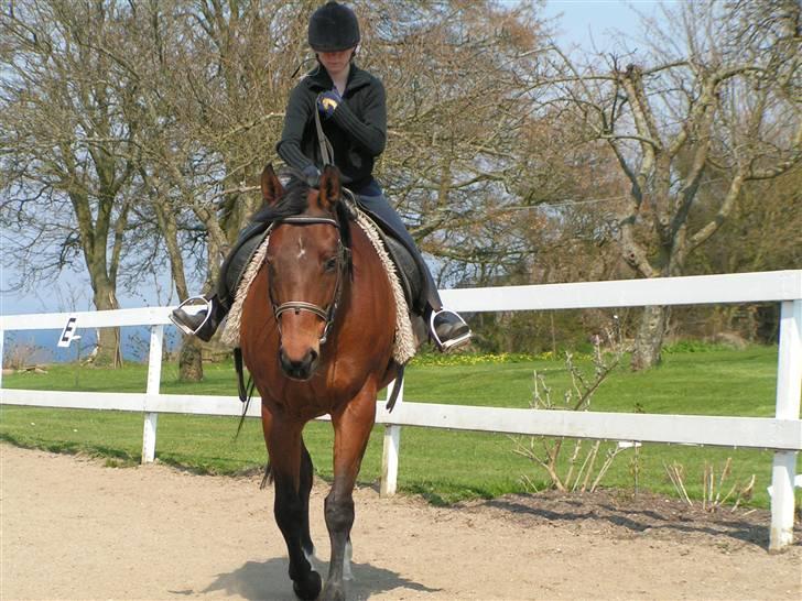 Fuldblod (XX) Why Me - R.I.P <3 - Skridter af.  billede 16