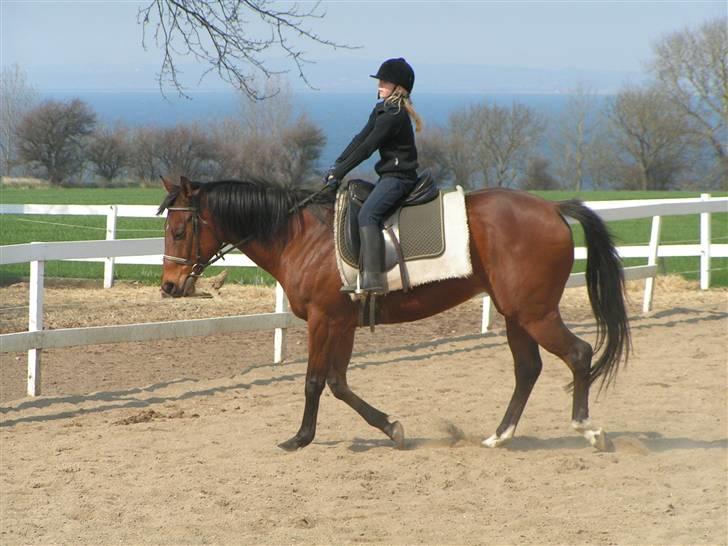 Fuldblod (XX) Why Me - R.I.P <3 - Hvor er jeg lille :-)  billede 17