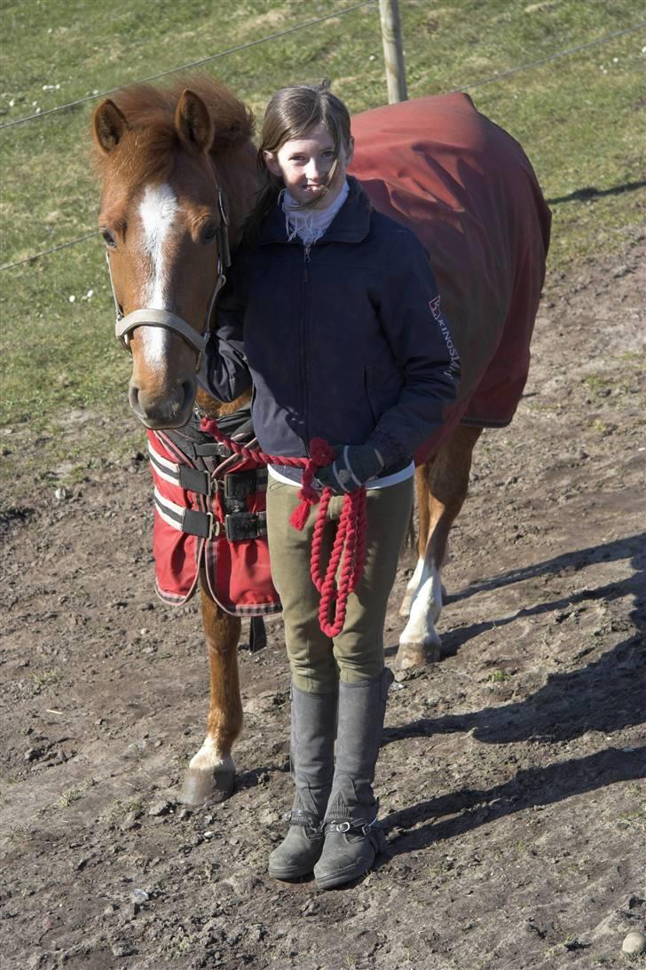 Anden særlig race // Holmens Molly -[SOLGT] billede 2
