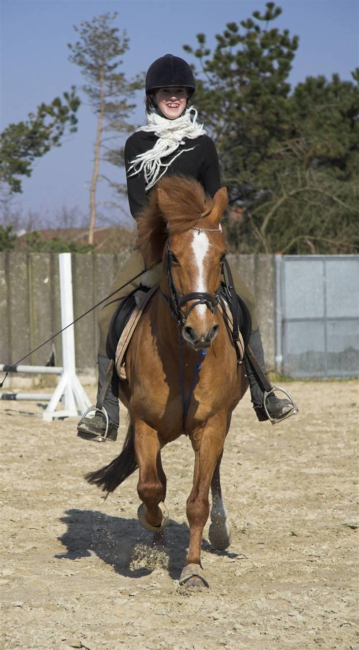 Anden særlig race // Holmens Molly -[SOLGT] billede 7