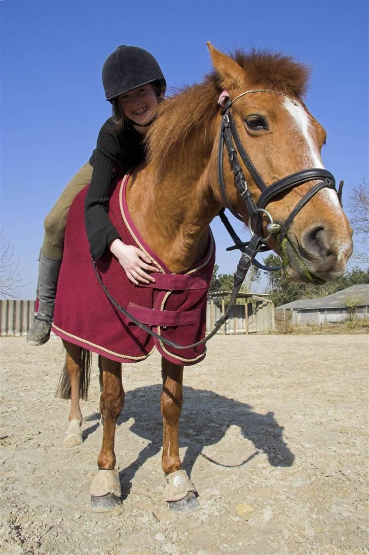 Anden særlig race // Holmens Molly -[SOLGT] billede 9