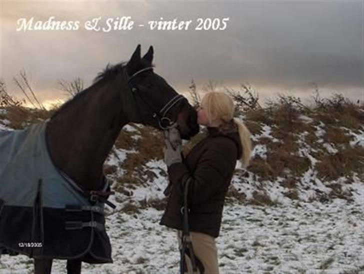 Dansk Varmblod Madness *SOLGT* - Mig og Madness, vinter 05´ billede 2