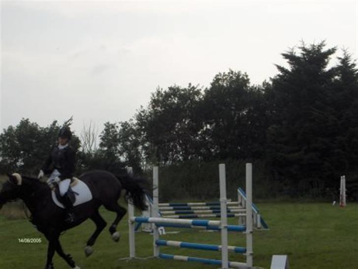 Dansk Varmblod Madness *SOLGT* - Connie og Madness, stævne Bramming 05´ billede 4