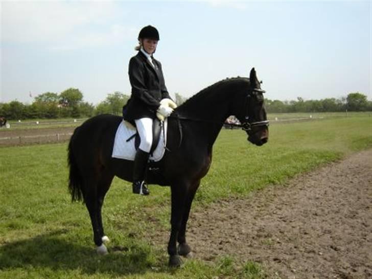 Dansk Varmblod Madness *SOLGT* - Mig og Madness, stævne Blåbjerg 05´ billede 9