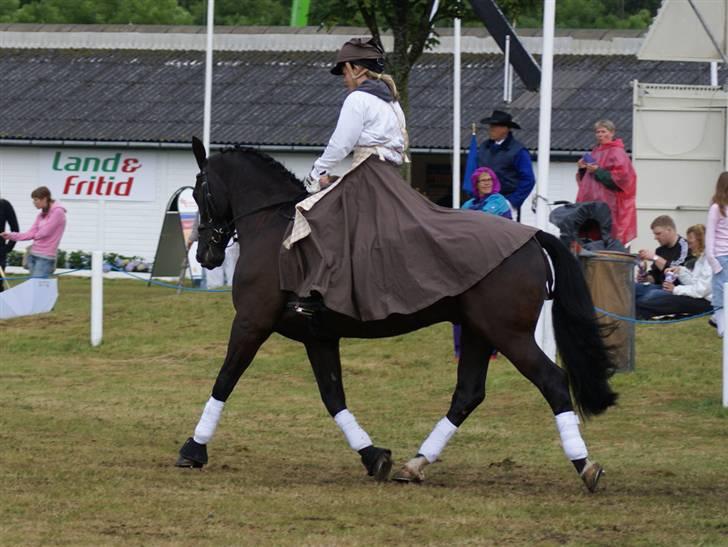 Oldenborg Jolly Jumper - Gallashow på dyreskuet 2007. billede 12