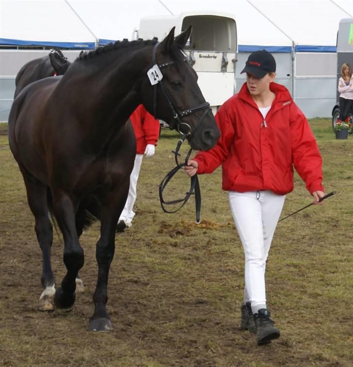 Oldenborg Jolly Jumper billede 16