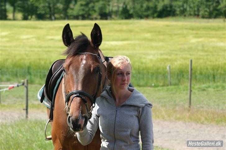 Dansk Varmblod Stejlbjerggaards Cyrillis - Lise er den venlige sjæl at holde min hest  billede 3