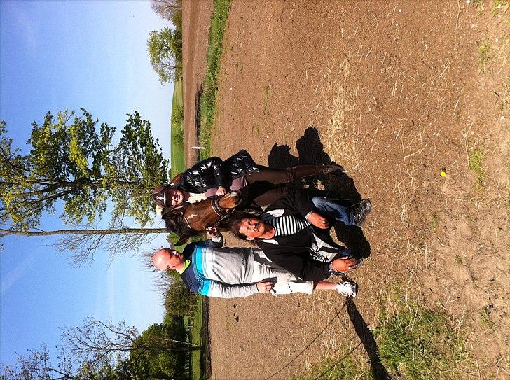 Dansk Varmblod Stejlbjerggaards Cyrillis - psyk ´:) billede 11