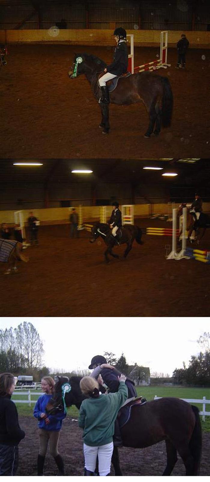 Anden særlig race *Wendy*   - Gammelt. vores første stævne.. billede 16